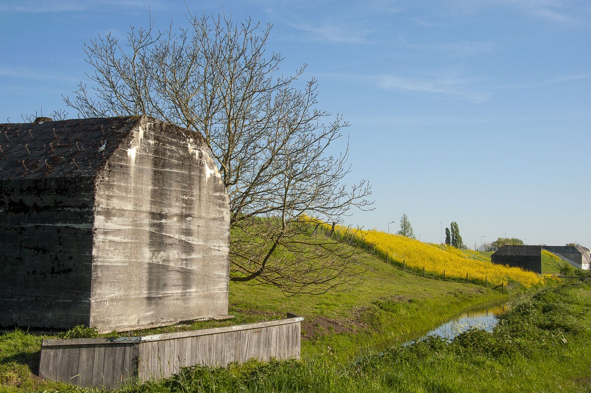 Goilberginerpad__076.jpg
