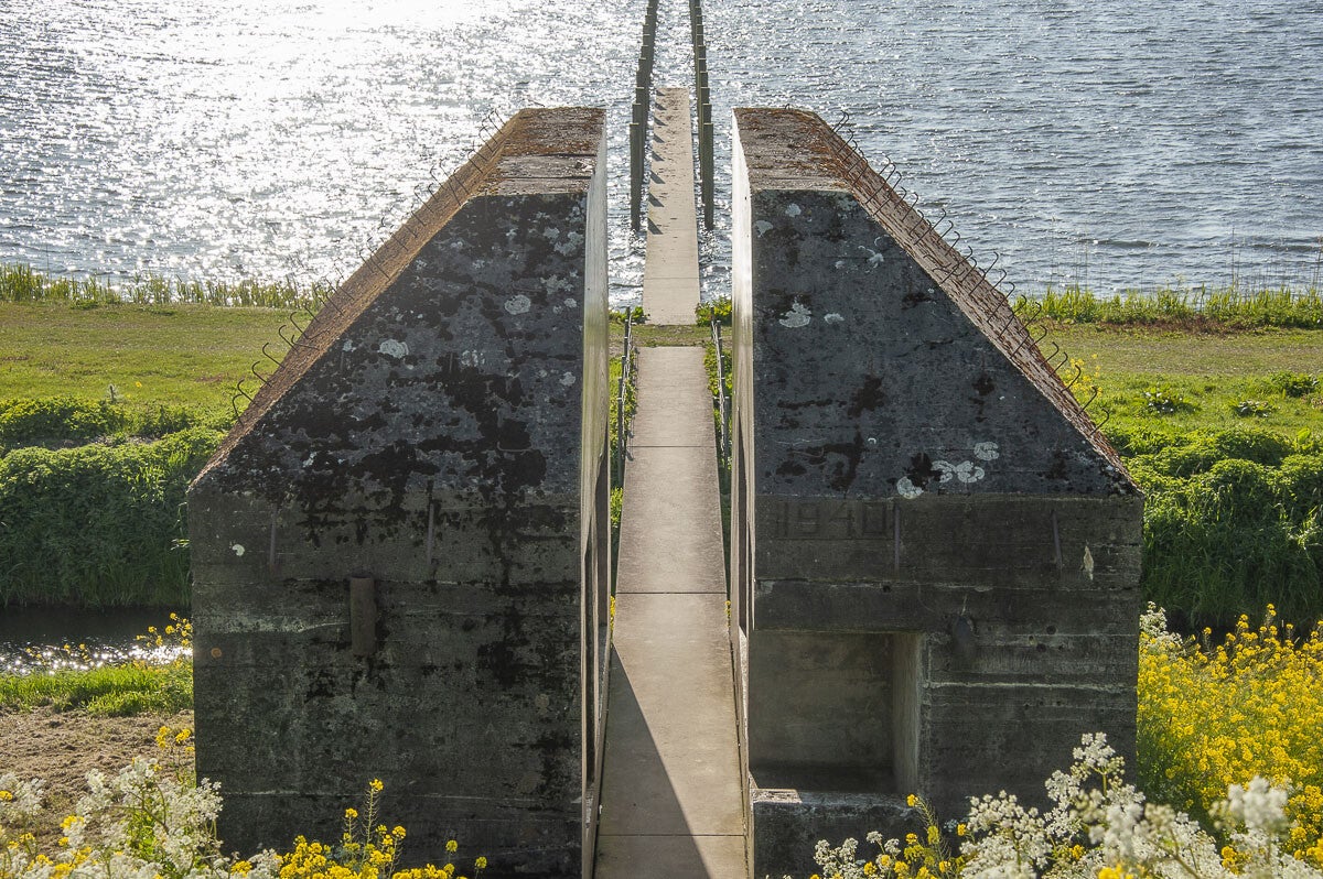 Goilberginerpad__080.jpg