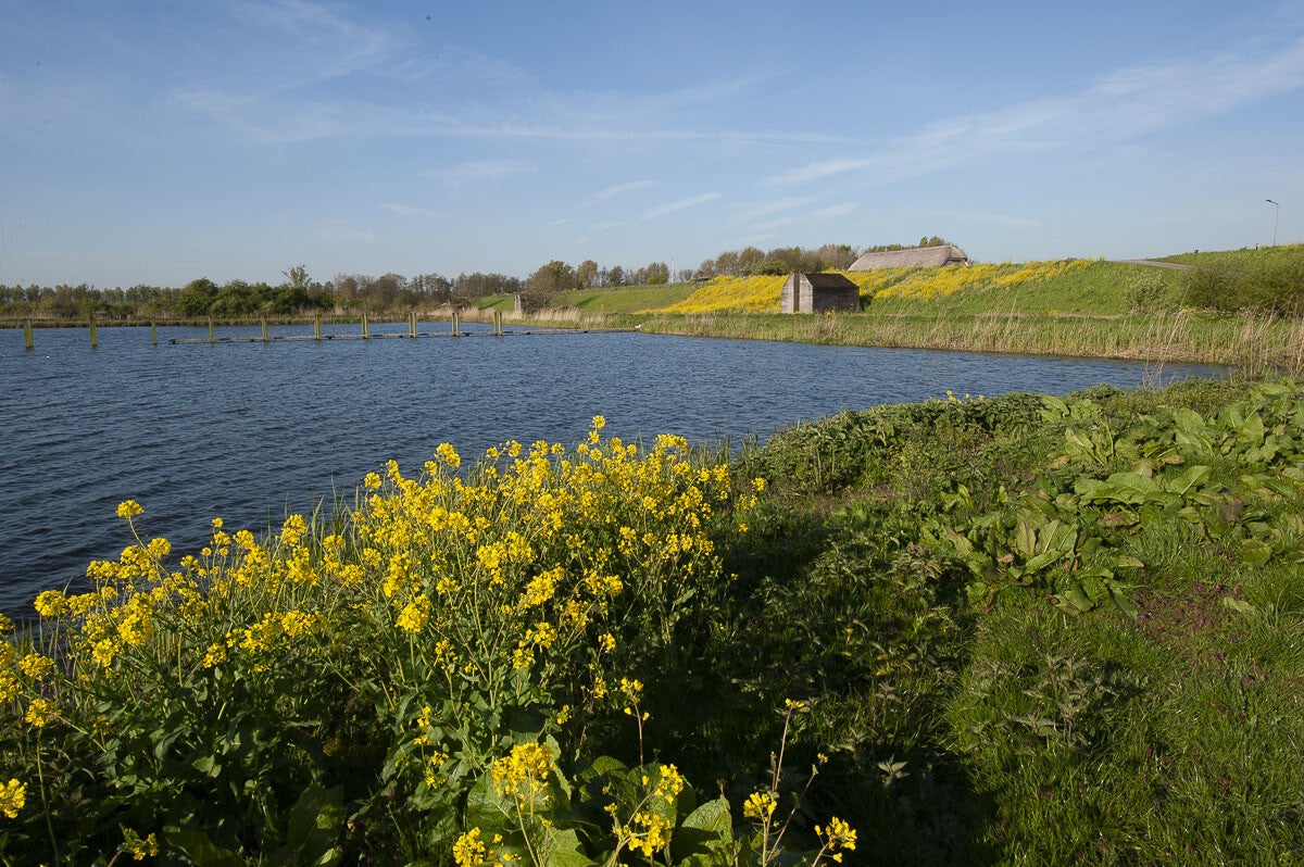 Goilberginerpad__086.jpg