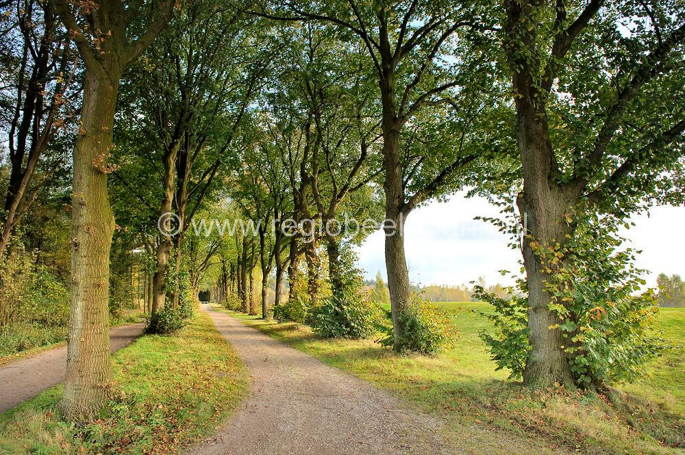 Golfbaan_Anderstein_013.jpg