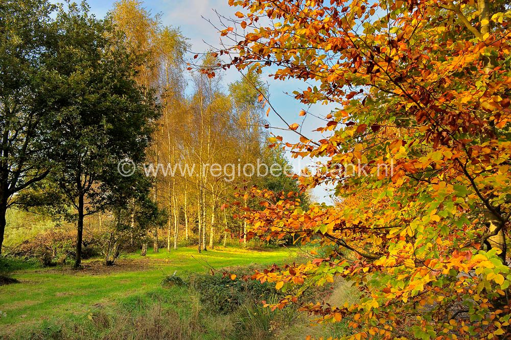 Golfbaan_Anderstein_027.jpg