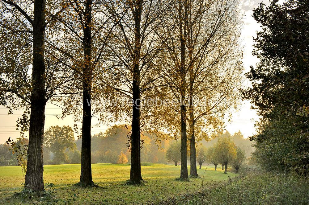 Golfbaan_Anderstein_045.jpg