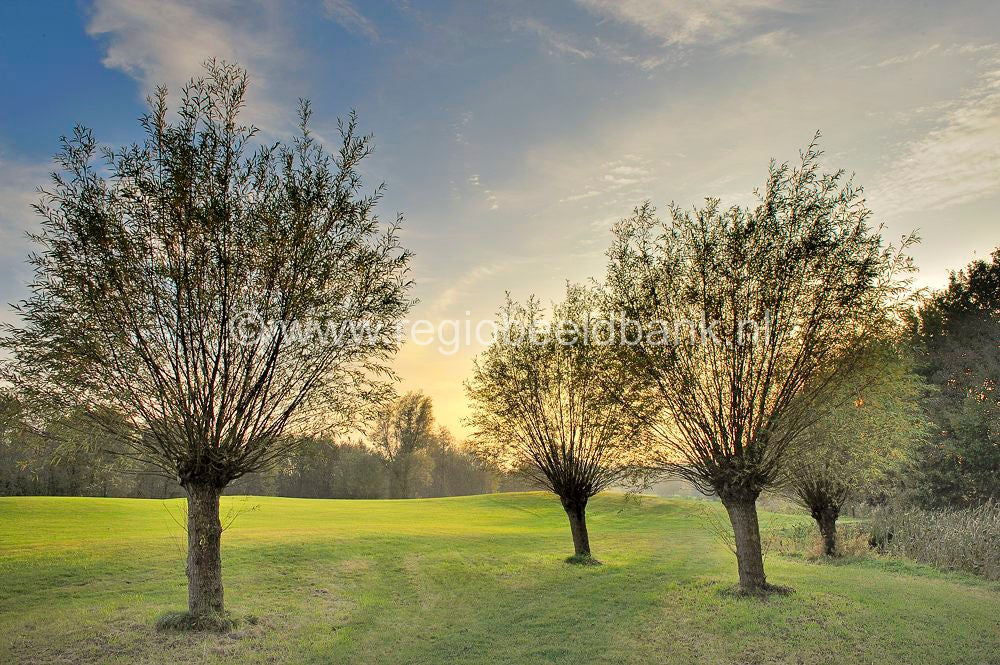 Golfbaan_Anderstein_048.jpg