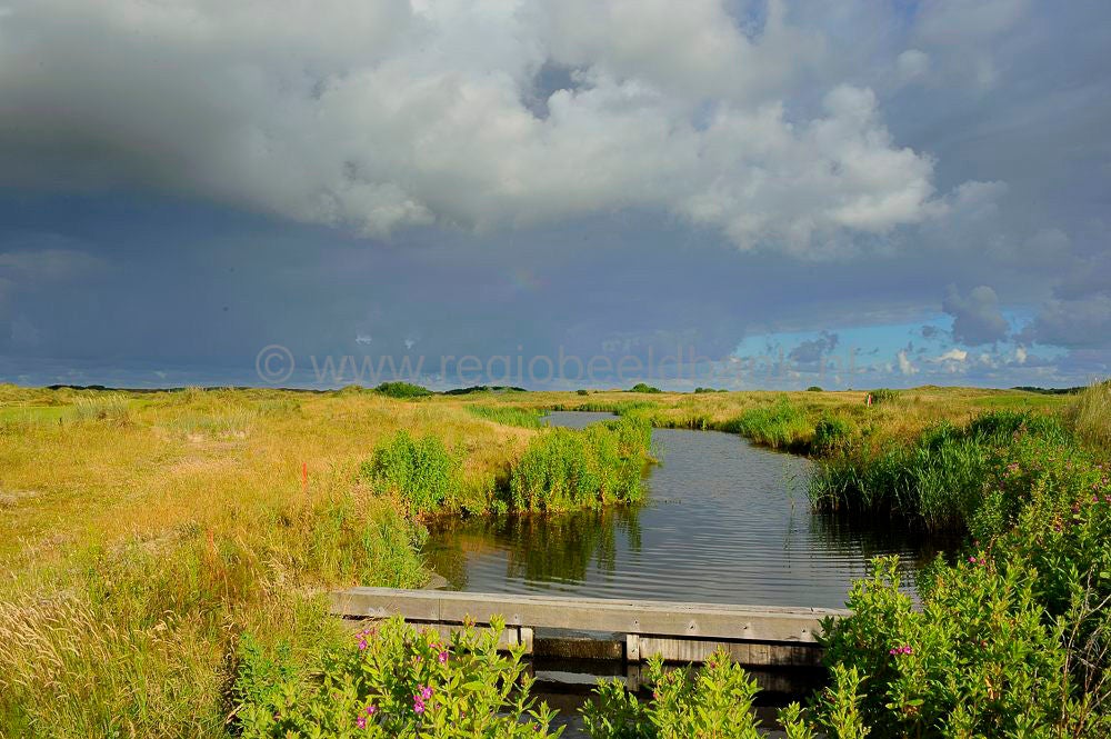 Golfbaan_Texel_004-1.jpg