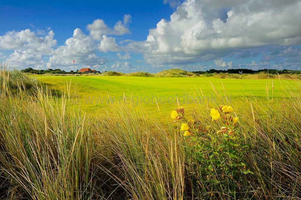Golfbaan_Texel_005-2.jpg