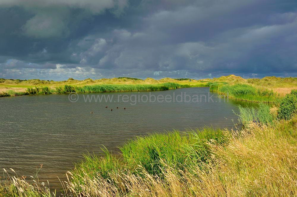 Golfbaan_Texel_015-2.jpg