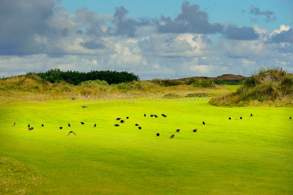 Golfbaan_Texel_018-1.jpg