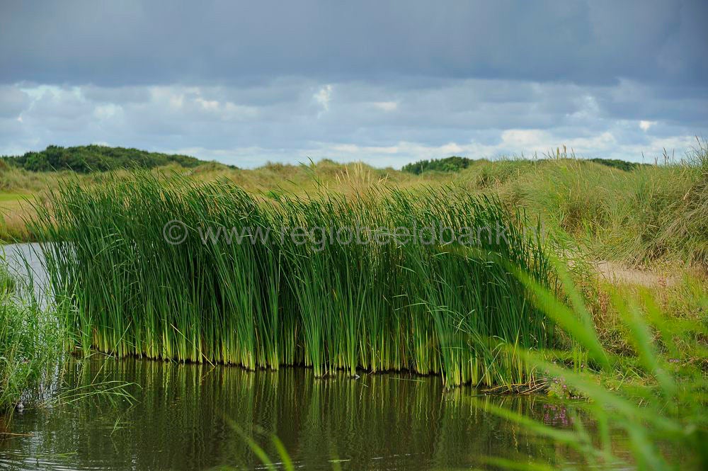 Golfbaan_Texel_036-1.jpg