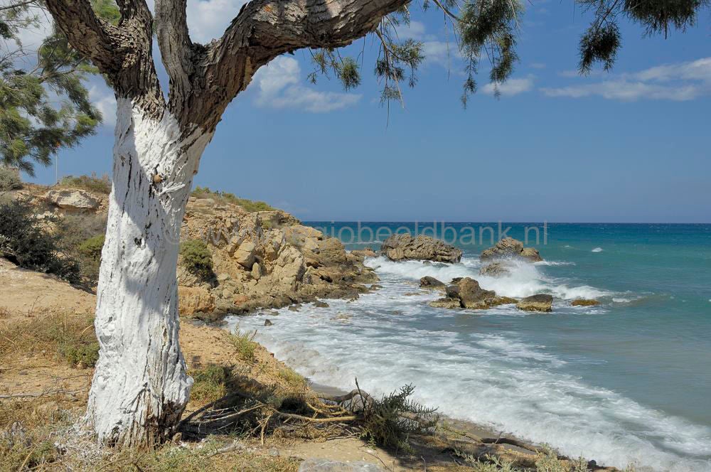 Gouduras_Xerokambos_Ziros_kreta_0437.jpg