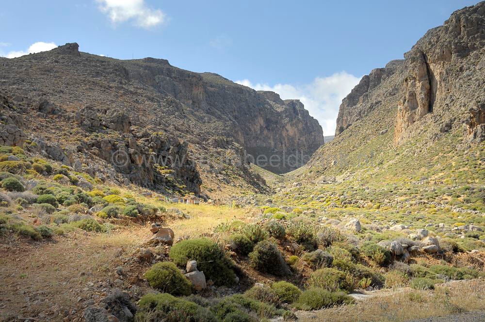Gouduras_Xerokambos_Ziros_kreta_0443.jpg