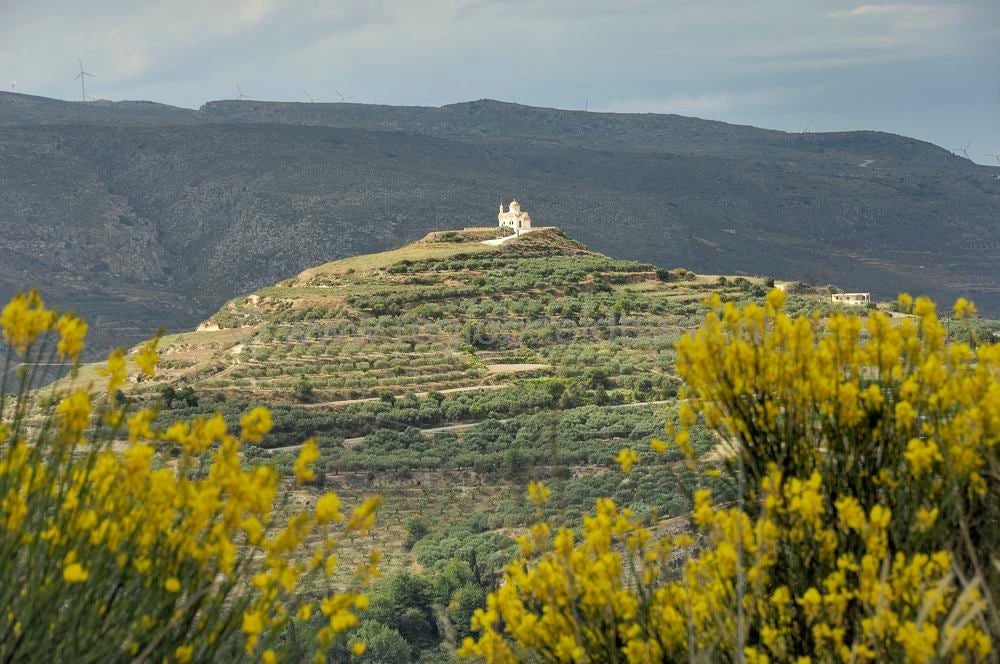 Gouduras_Xerokambos_Ziros_kreta_0447.jpg