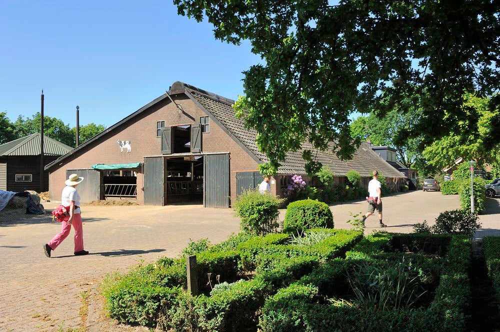 Grebbeliniewandeltocht_2017_018.jpg