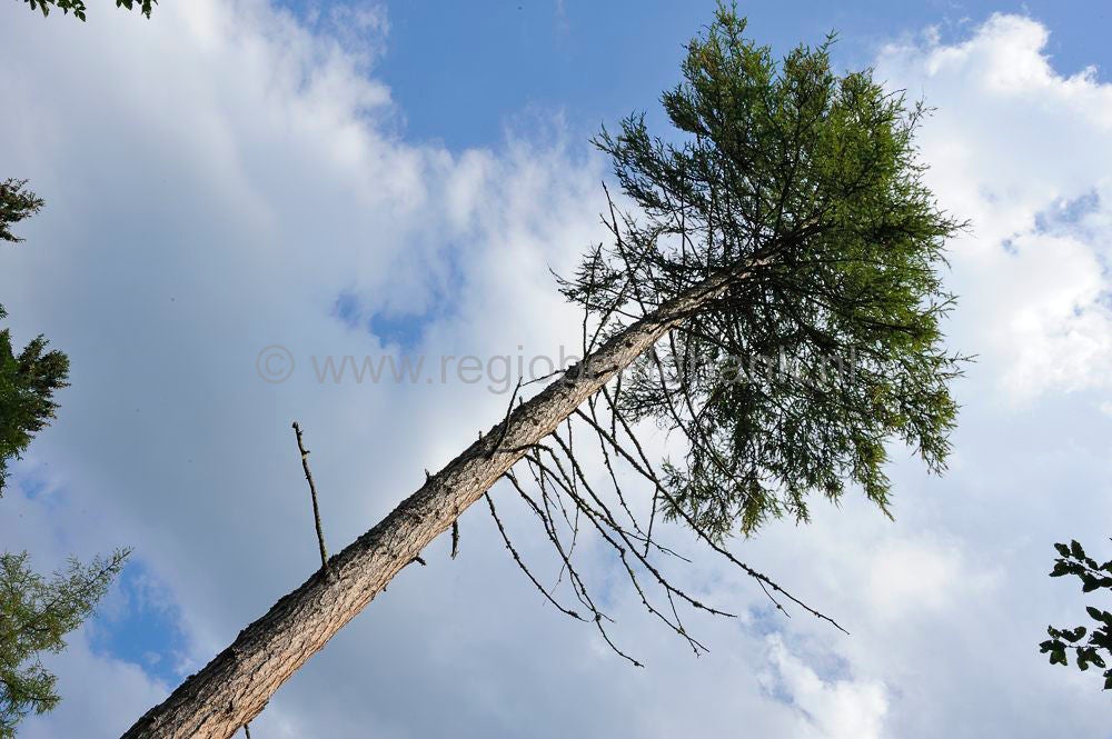 Griessau_030.jpg