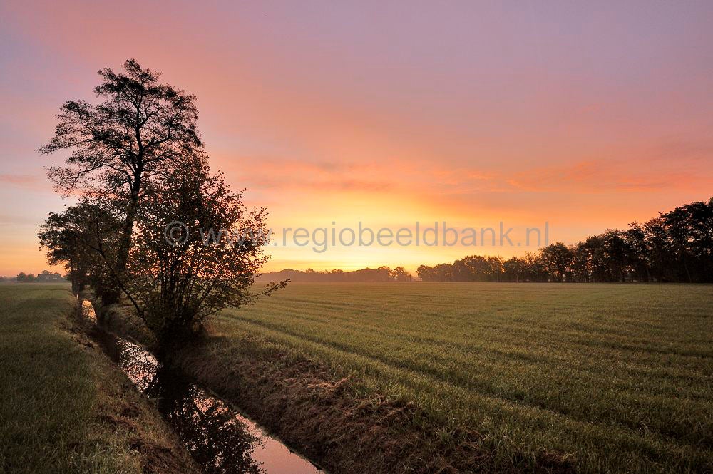 Gooswilligen