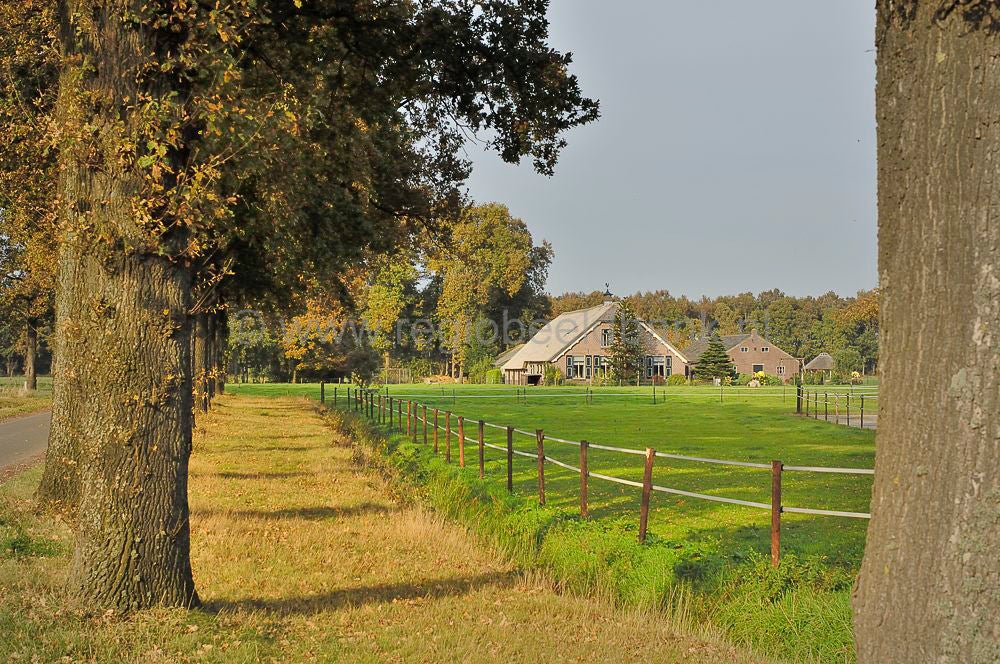 Heintjeskamp
