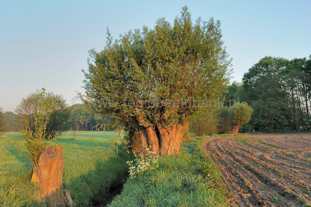 Groot_en_Klein_Kolfschoten_010.jpg