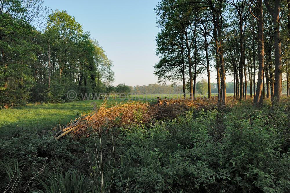Groot_en_Klein_Kolfschoten_018.jpg