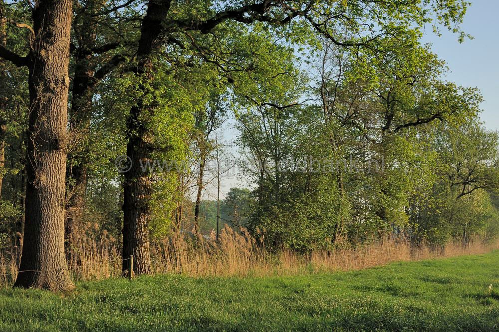 Groot_en_Klein_Kolfschoten_024.jpg