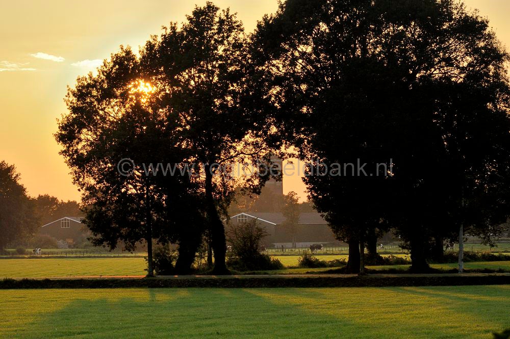 Groot_en_Klein_L_105.jpg