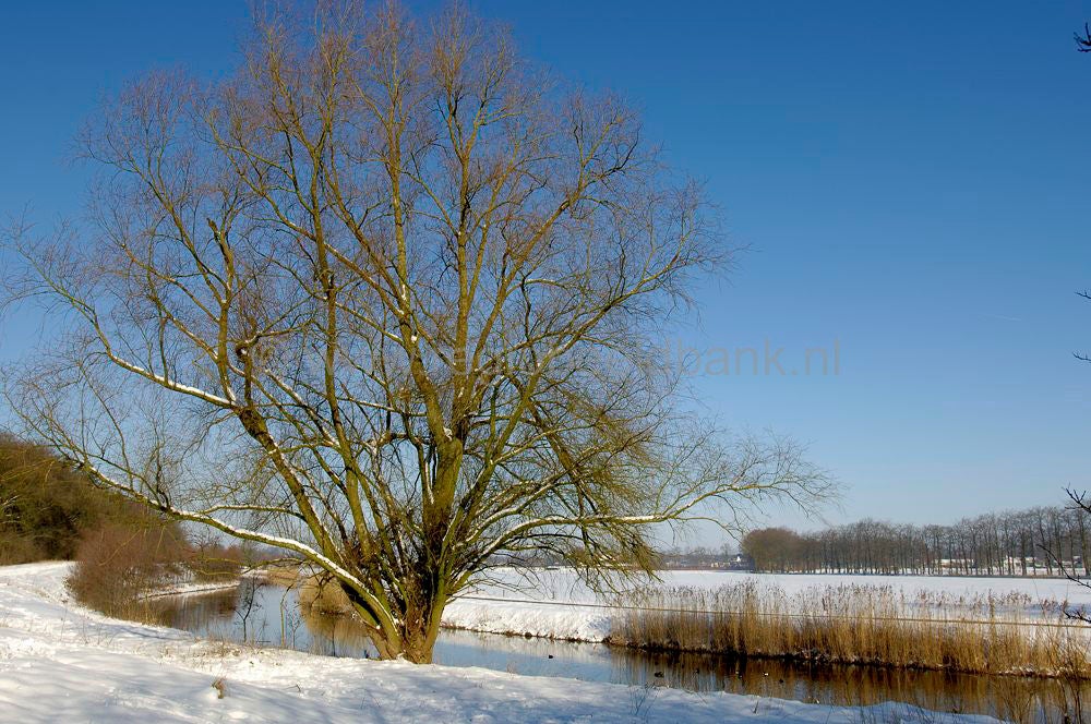 Groot_en_Klein_Lambalgen_005.jpg