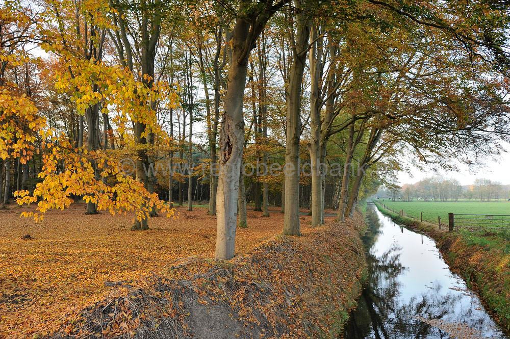 Groot_en_Klein_Orel_017.jpg