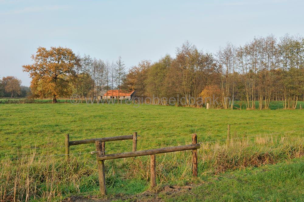 Groot_en_Klein_Orel_022.jpg