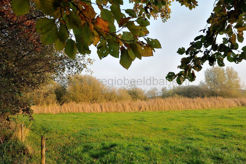 Groot_en_Klein_Orel_024.jpg