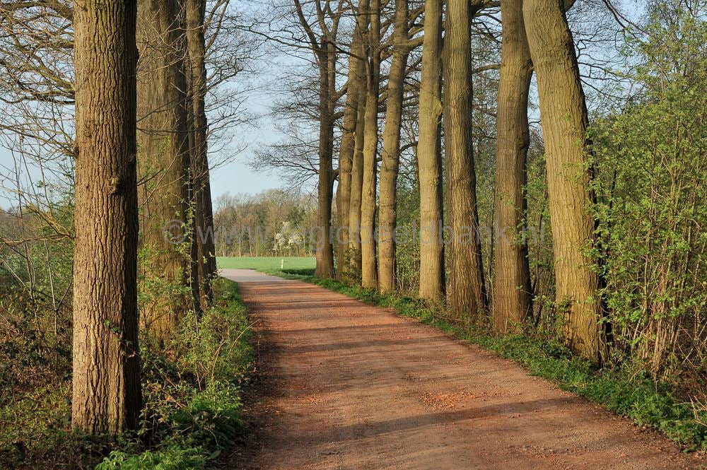 Groot_en_Klein_Orel_034.jpg