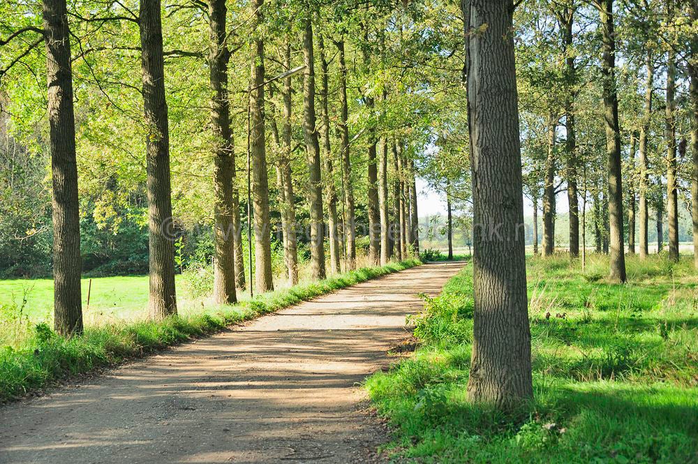 Groot_en_Klein_Willaer_002.jpg