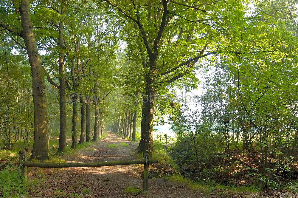 Groot_en_Klein_Willaer_008.jpg