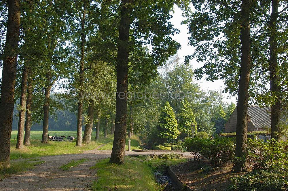 Groot_en_Klein_Willaer_010.jpg