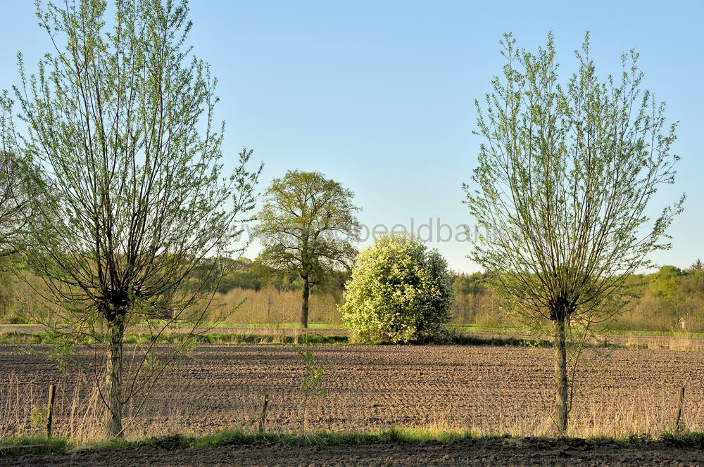 Groot_en_Klein_Willaer_017.jpg