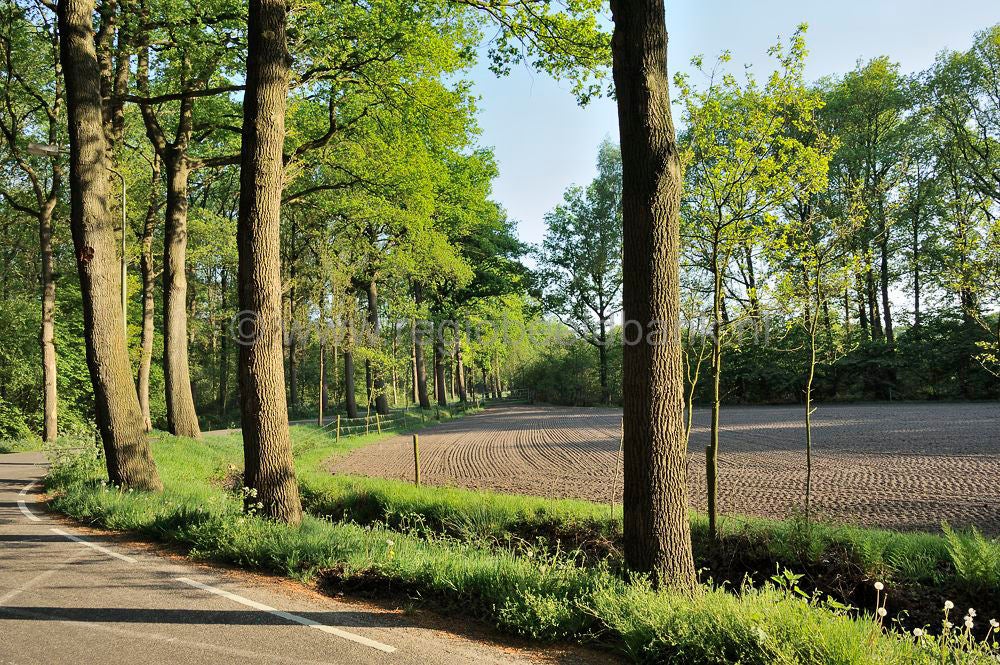 Groot_en_Klein_Willaer_019.jpg