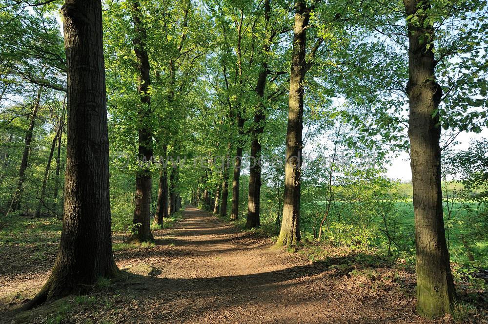 Groot_en_Klein_Willaer_021.jpg