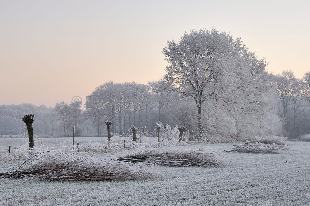 Groot_en_Klein_Willaer_022.jpg