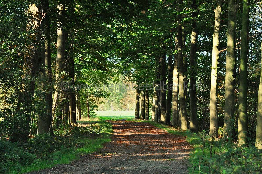 Groot_en_Klein_Wolswinkel_006.jpg
