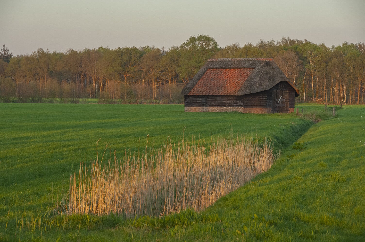 Groot_en_Klein_Wolswinkel_008-2.jpg