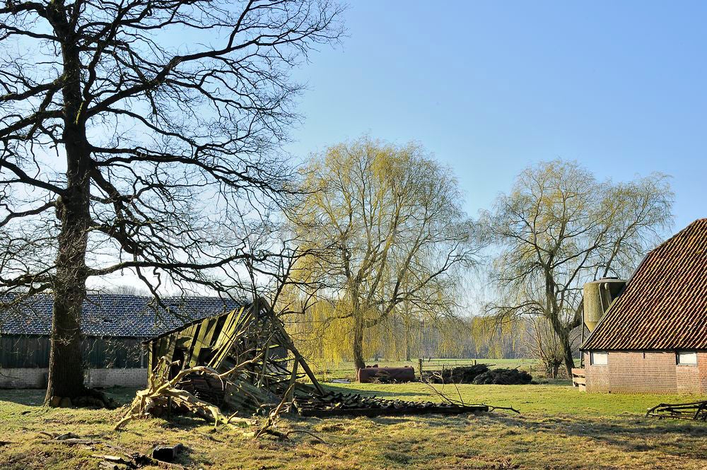 Groot_en_Klein_Wolswinkel_012.jpg