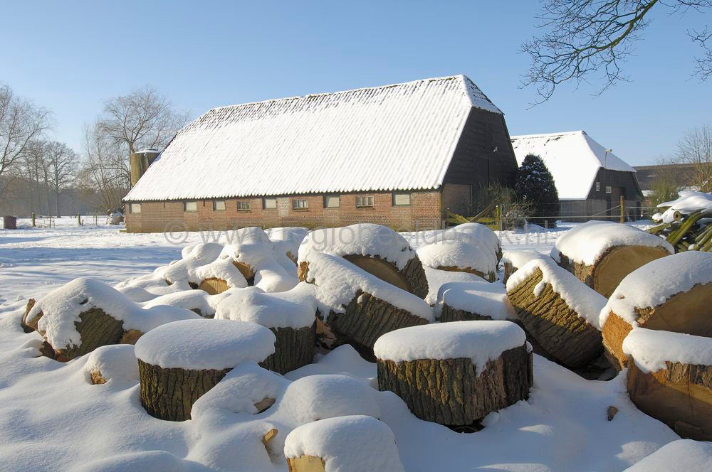 Groot_en_Klein_Wolswinkel_014.jpg