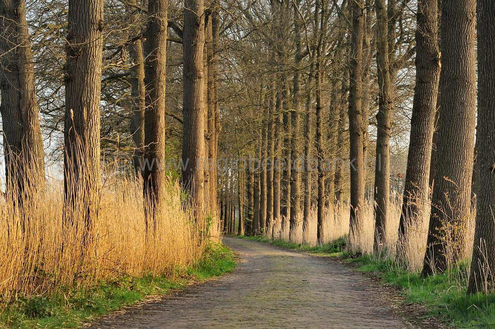 Groot_en_Klein_Wolswinkel_019-1.jpg