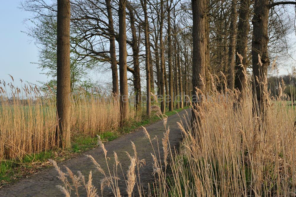 Groot_en_Klein_Wolswinkel_022.jpg