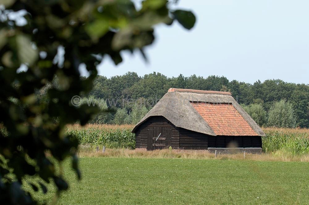Groot_en_Klein_Wolswinkel_023.jpg