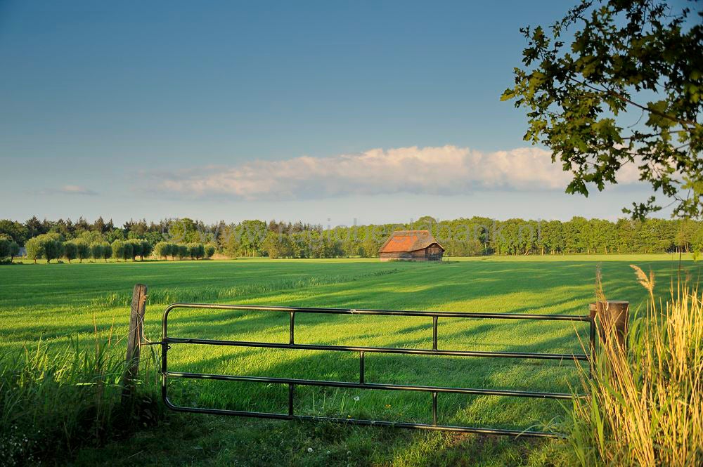 Groot_en_Klein_Wolswinkel_028.jpg