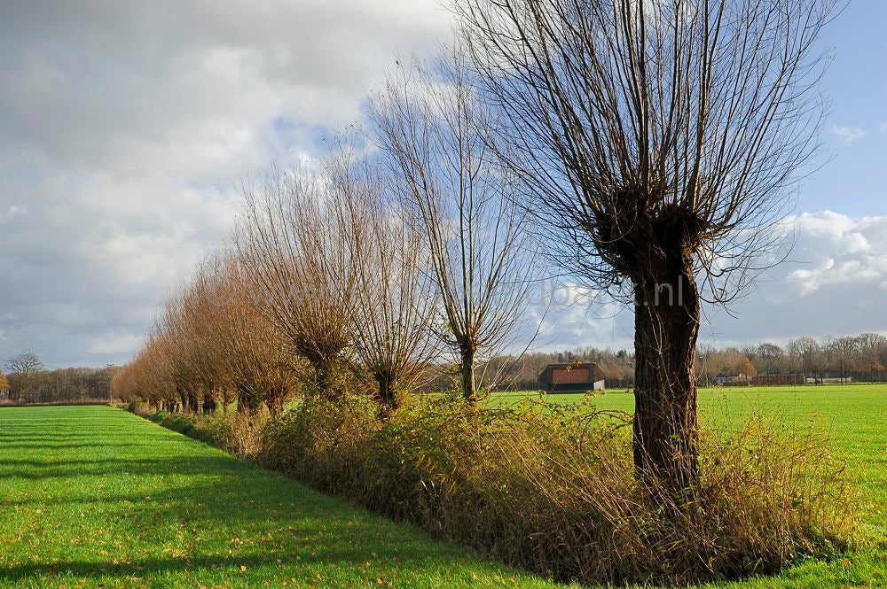 Groot_en_Klein_Wolswinkel_031.jpg