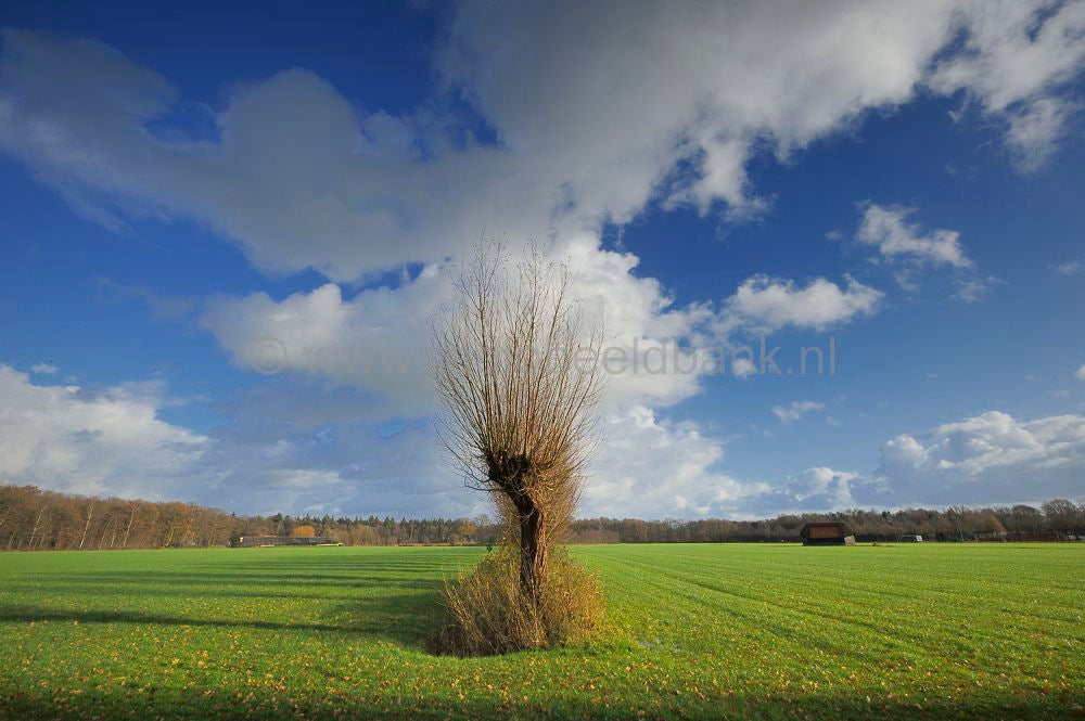 Groot_en_Klein_Wolswinkel_033.jpg