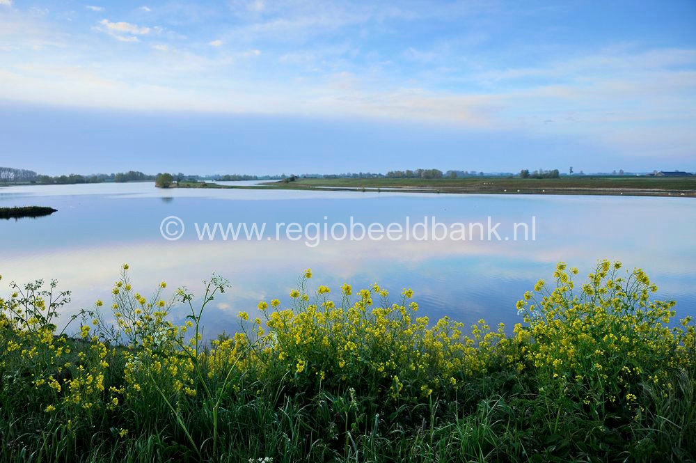 Nederhemert