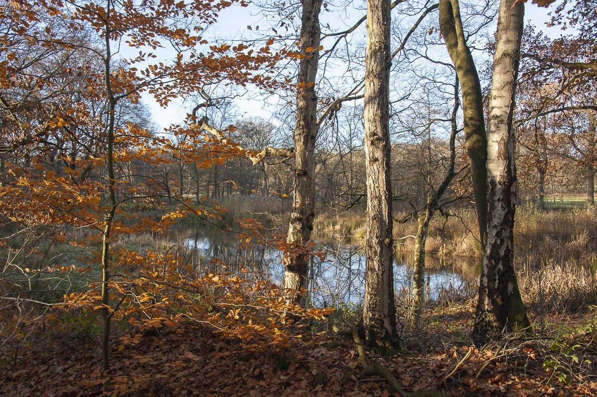 Hartensepad_018-1.jpg