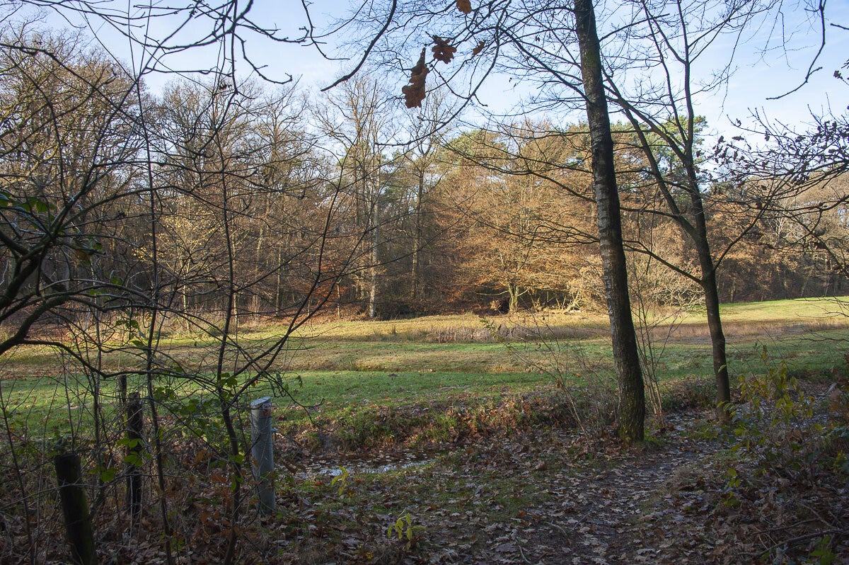 Hartensepad_032-1.jpg