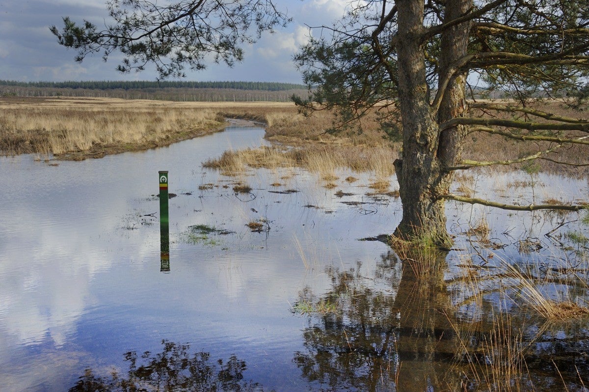 Heidebeek_HV_005.jpg
