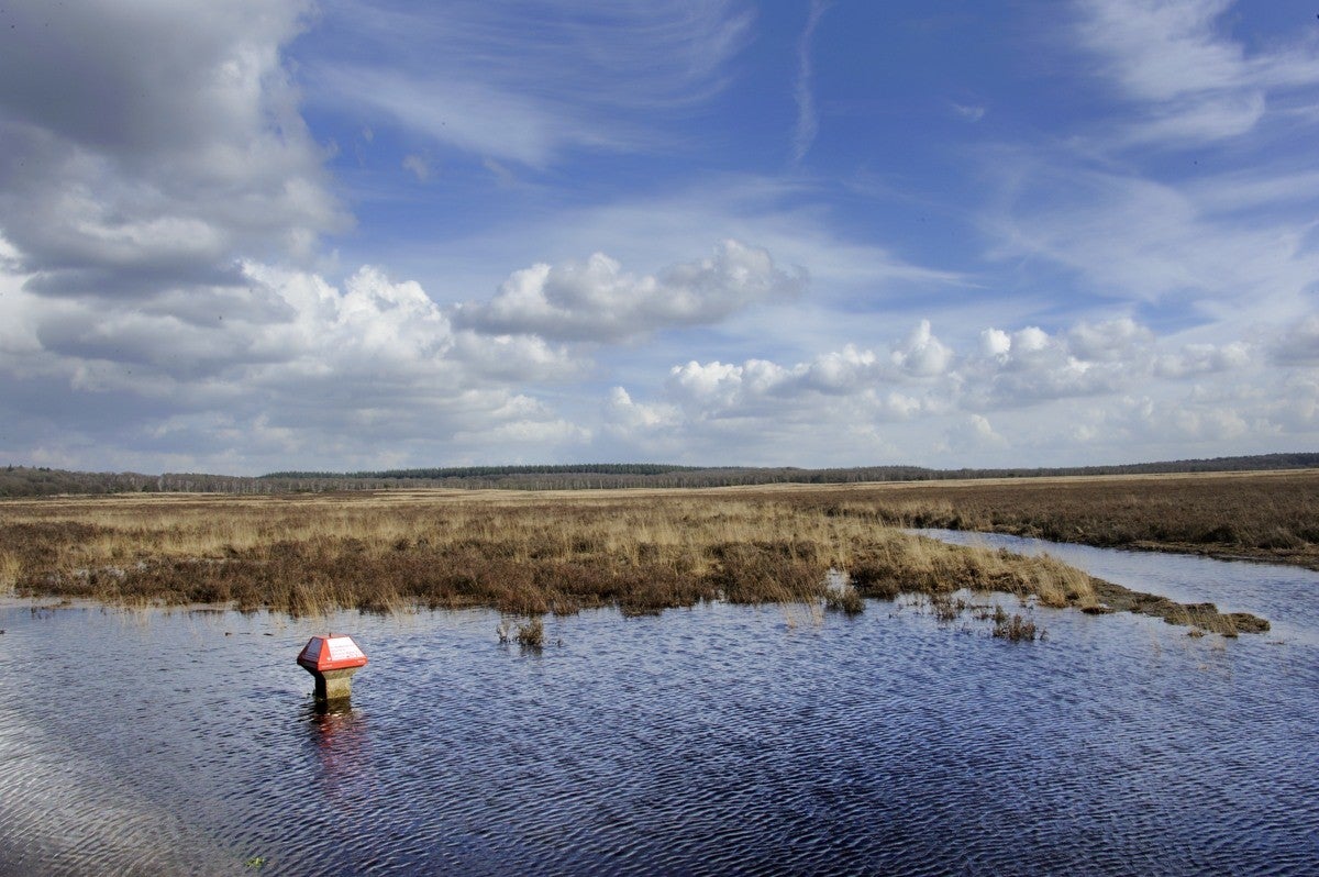 Heidebeek_HV_007.jpg